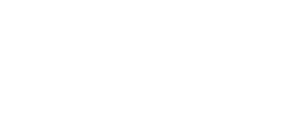 stevie's original - mobile bar